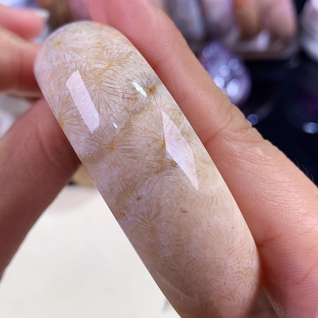 硅化珊瑚（珊瑚玉）未镶嵌吊坠(赠链)（33号）凤尾59圈