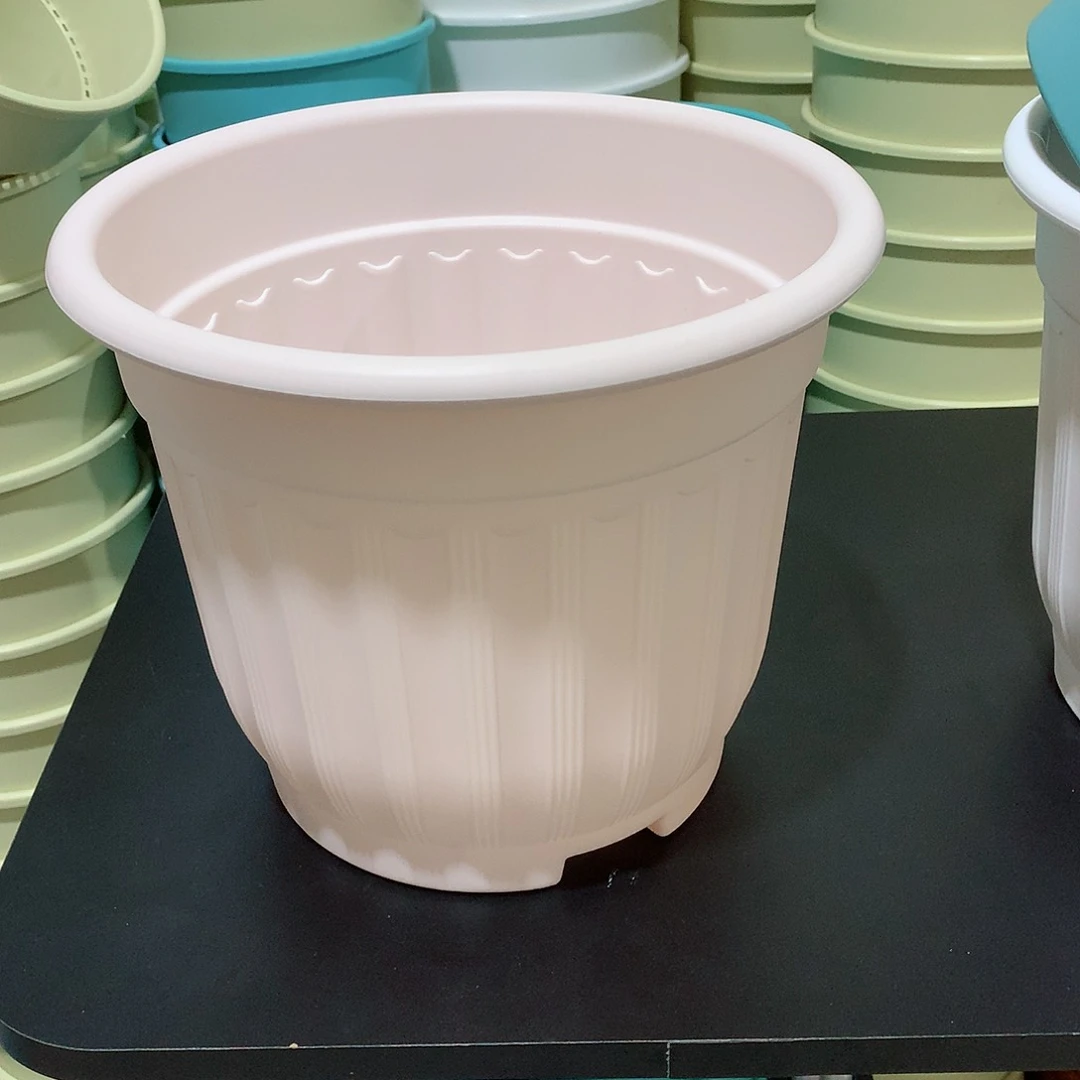 树脂罗马口27粉5个无托