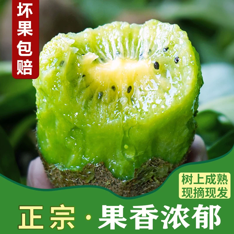 贵州贵长猕猴桃泡沫箱装装 新鲜当季整箱绿心奇异果包邮坏果包赔