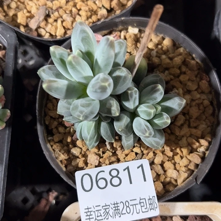 幸运的是我没有遇到