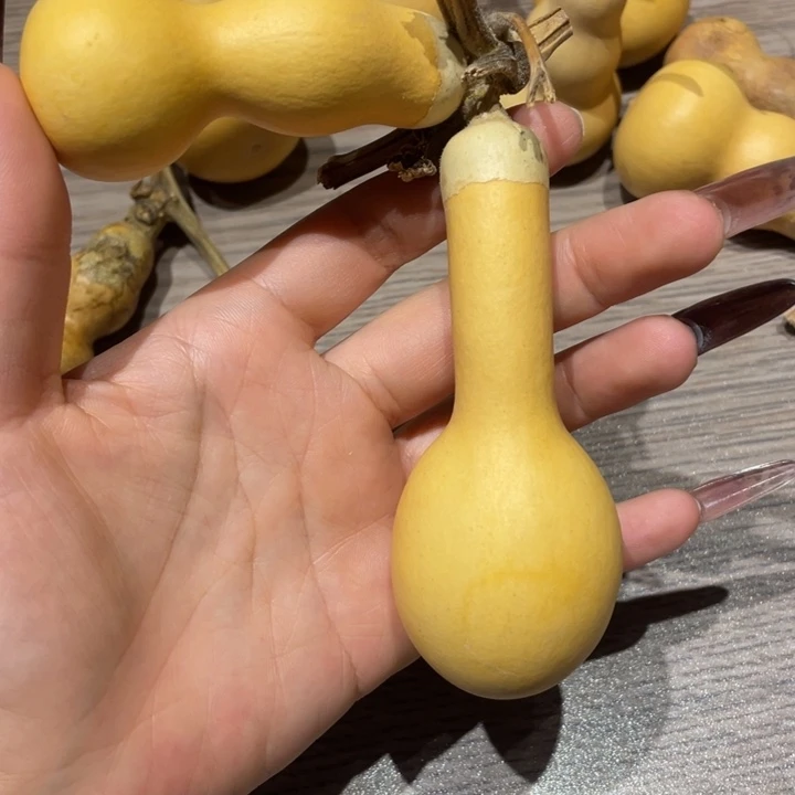 东***盈葫芦葫芦葫芦葫芦