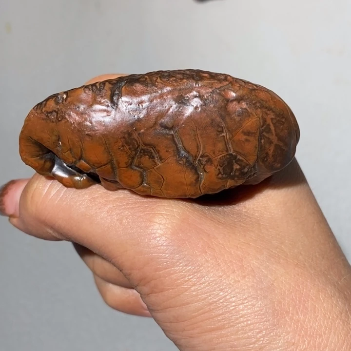 玛瑙/玉髓车挂合金用****1174