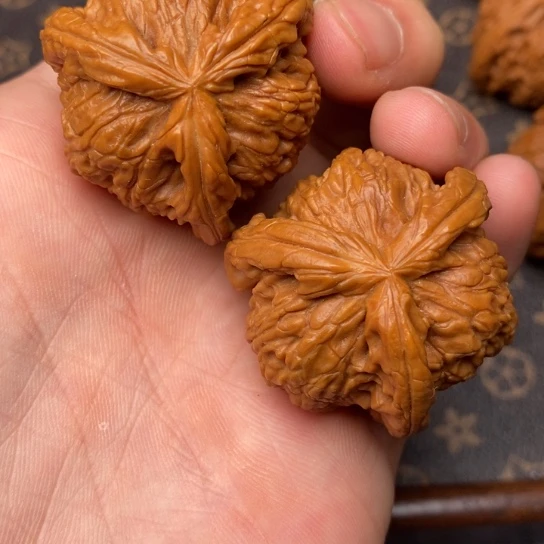 香****拿白狮子11111111