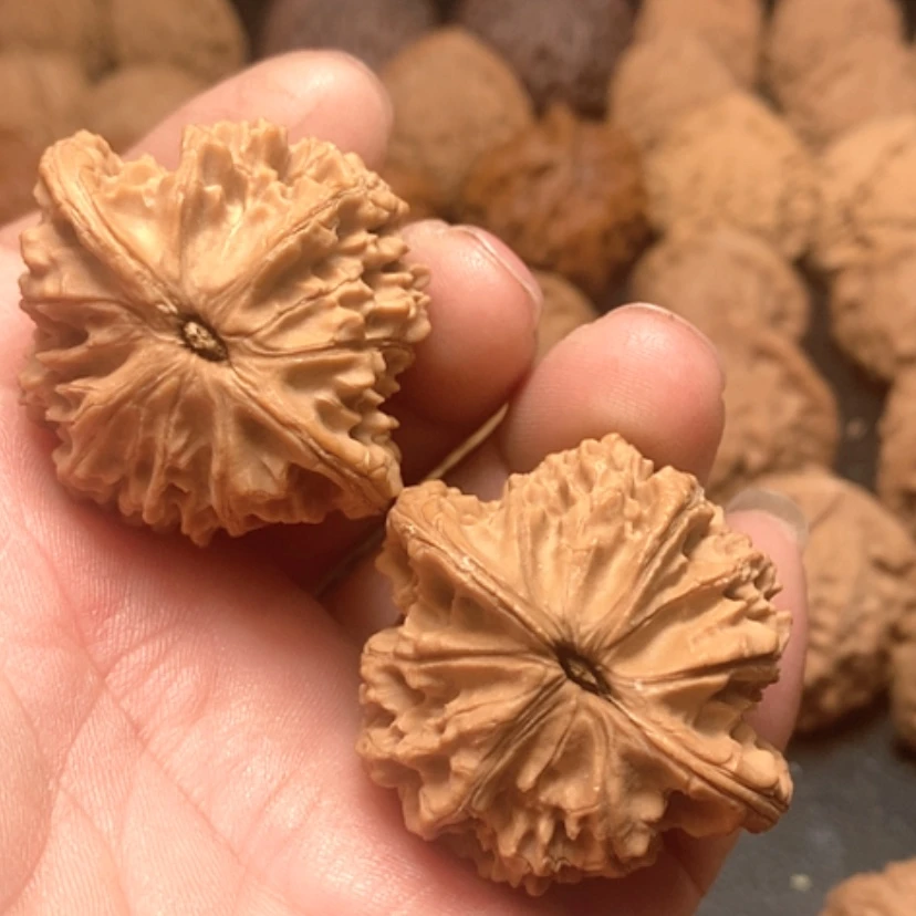 【闪购商品】清**月盘龙纹