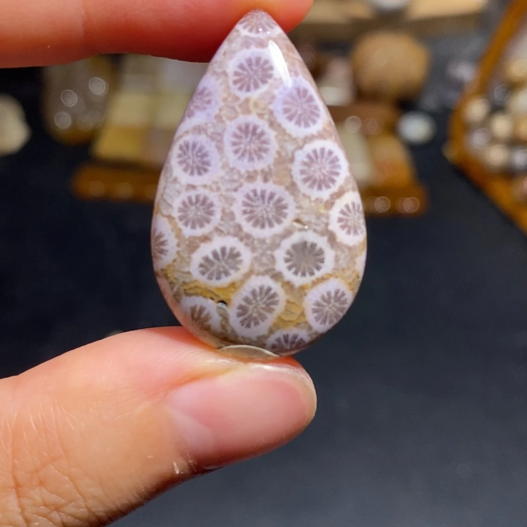 【闪购商品】硅化玉珊瑚玉未镶嵌