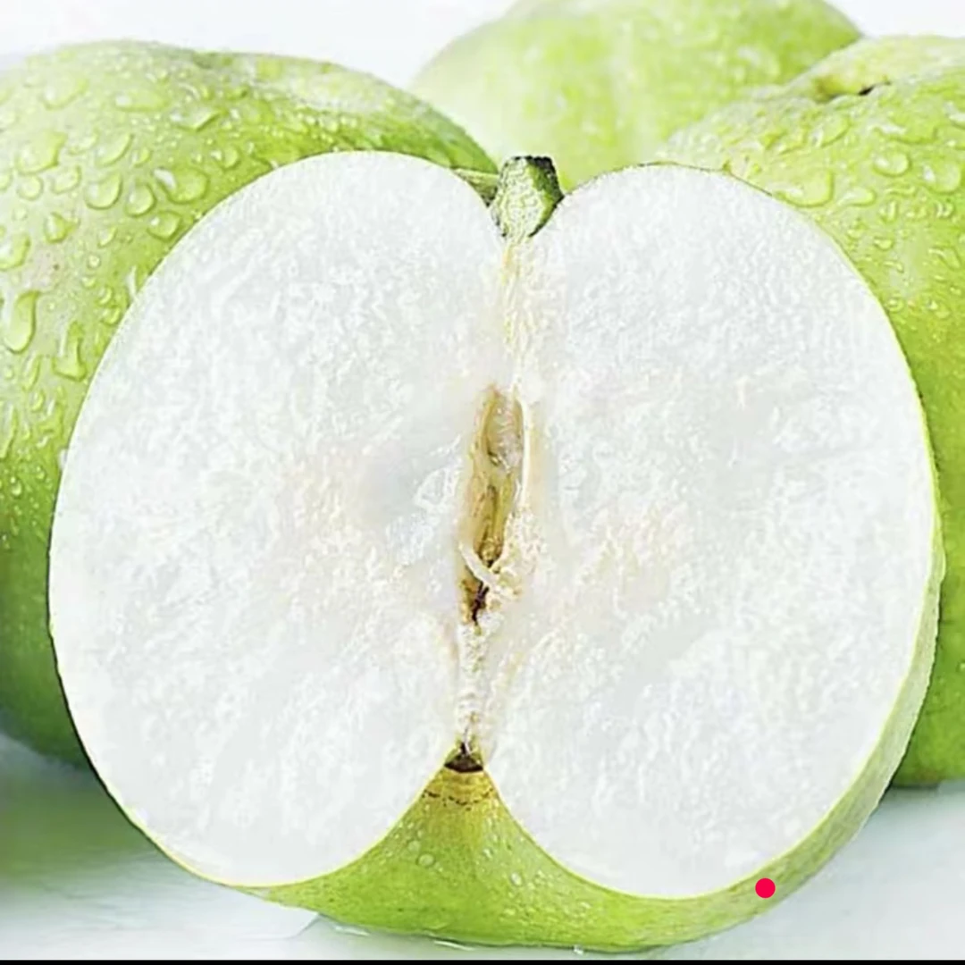 【现摘现发】砀山酥脆一号青梨新鲜水果脆甜多汁现摘当季水果