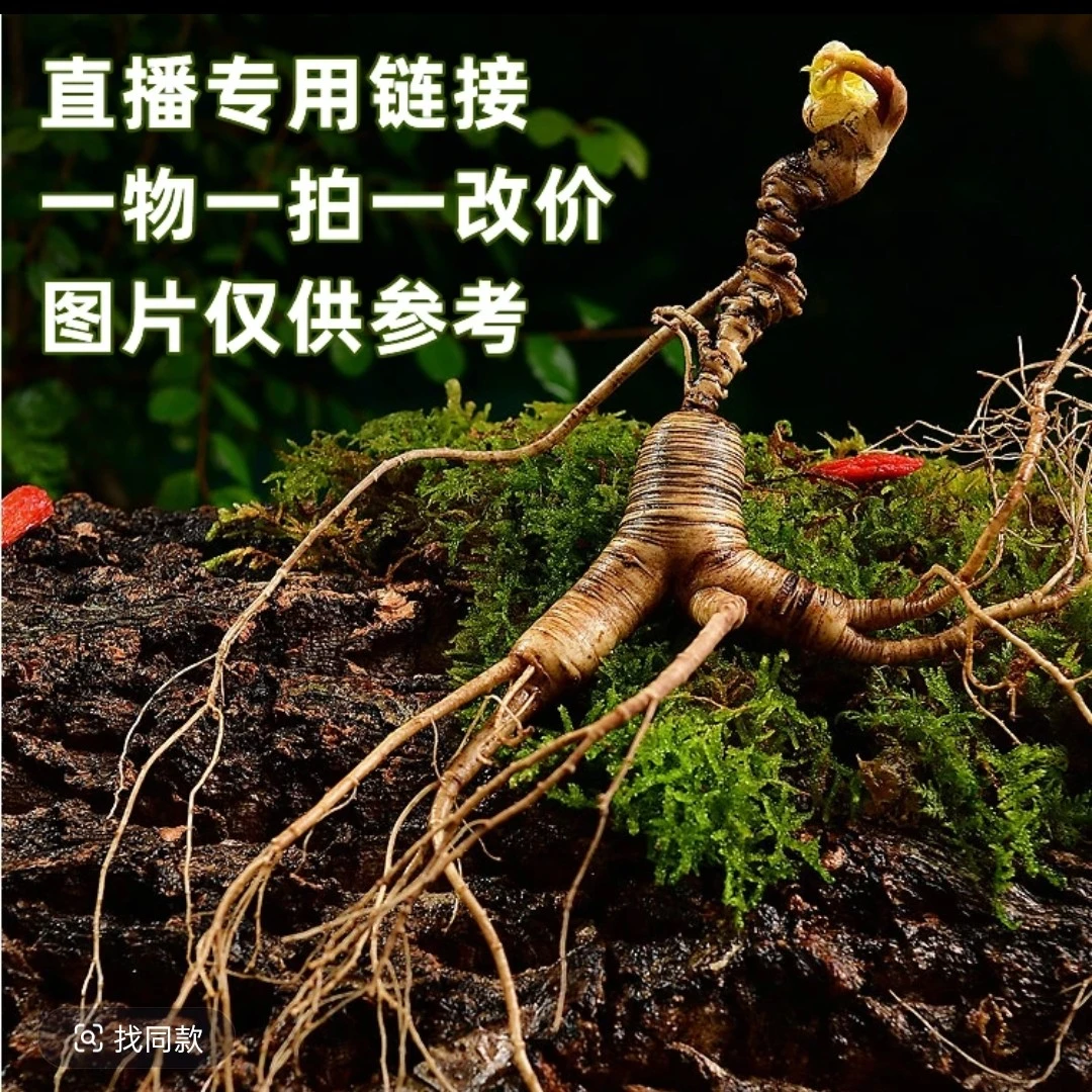长白山原产地林下参籽货