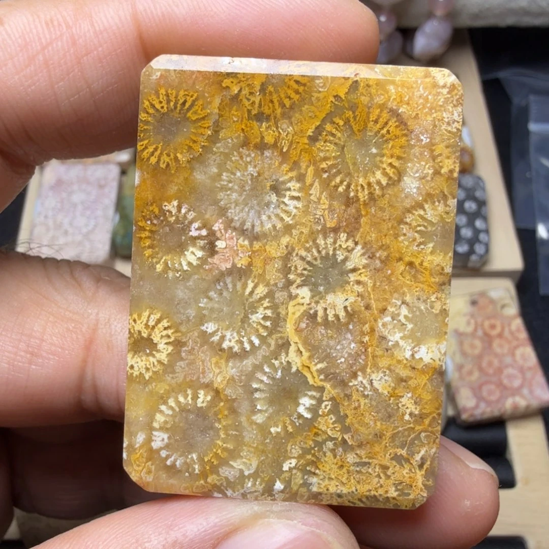 硅化玉未镶嵌天然有机玉石保真色