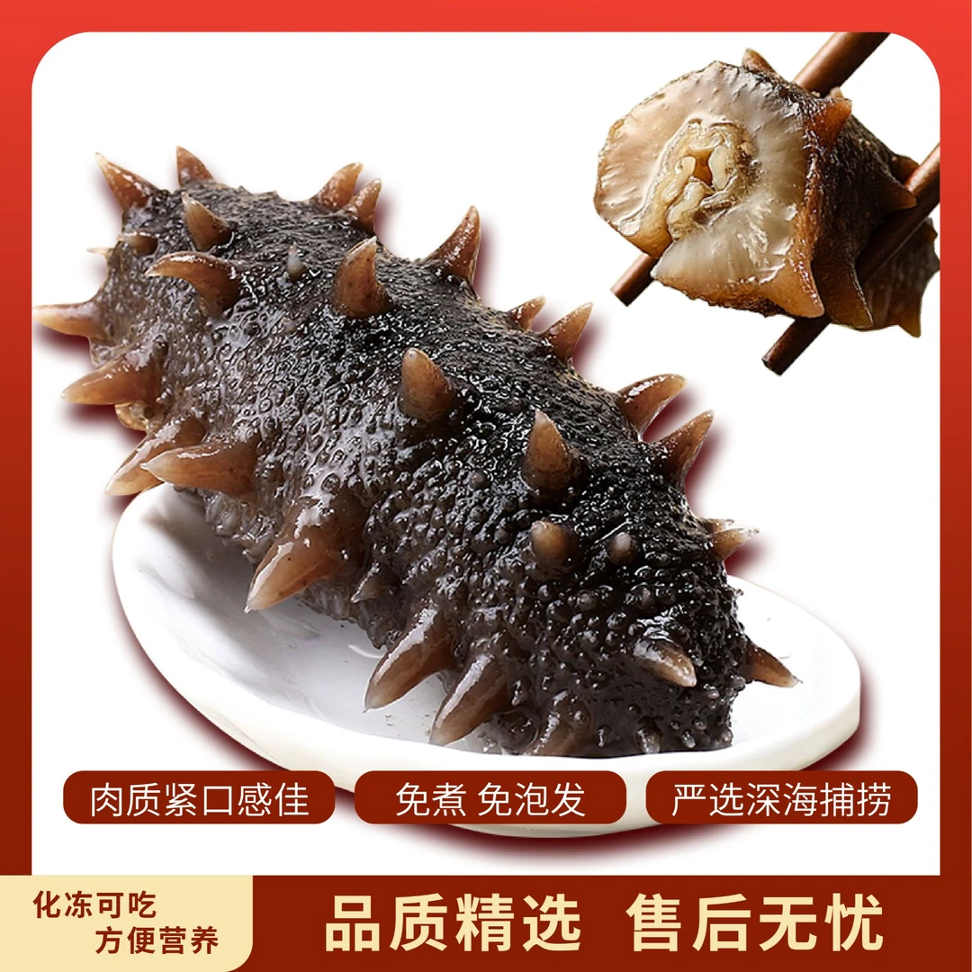 【特惠微残】即食鲜食4-9头/斤10-12cm参刺营养滋补独立包装顺丰