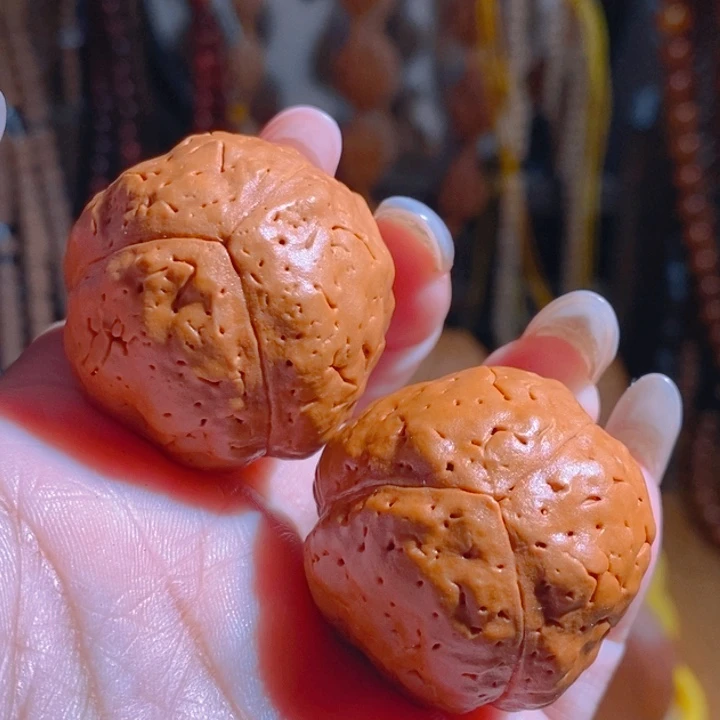 野生三瓣大金刚光头强3337