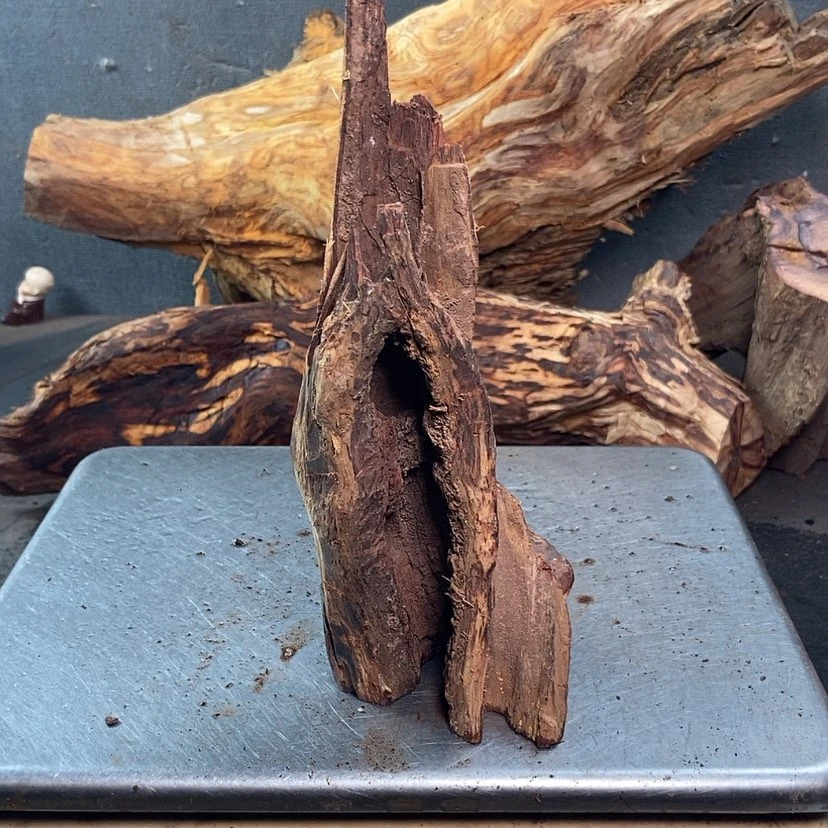 【闪购商品】黄花梨/降香黄檀冬*