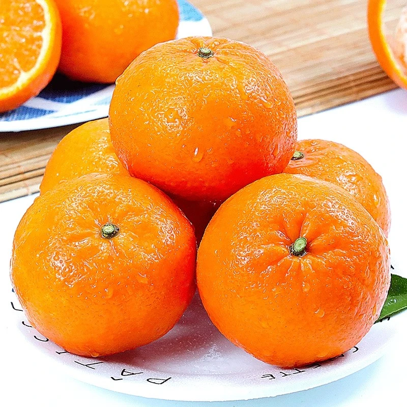 小鹿鲜蜂广西武鸣沃柑新鲜水果当季现摘桔子桔子大果4.5/8.5斤