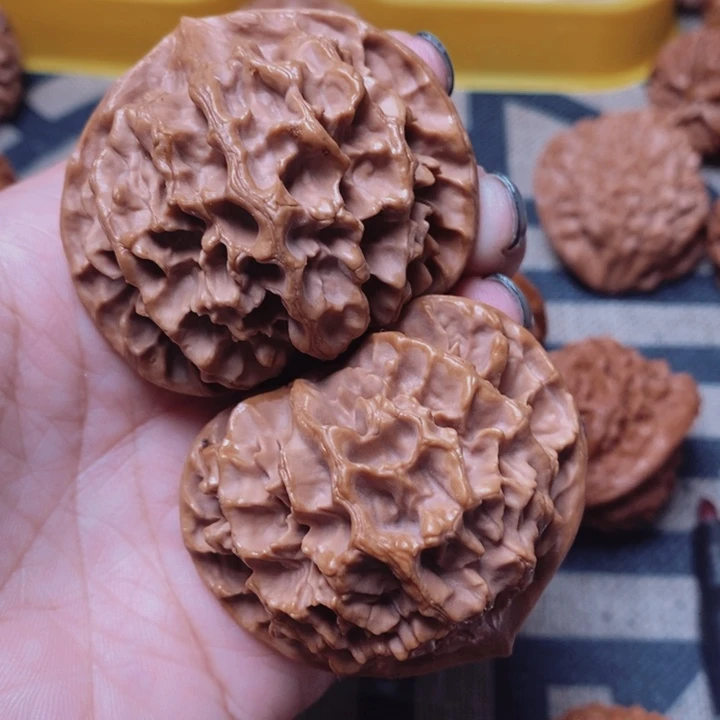 大叶紫檀（黑酸枝木类）