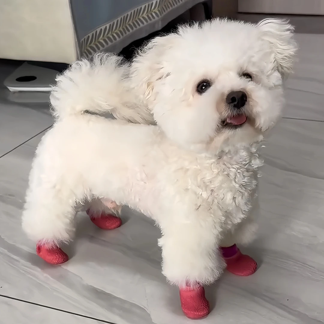 狗狗脚套防滑防水袜软底耐磨狗鞋透气外出不掉脚柯基柴犬比熊鞋袜