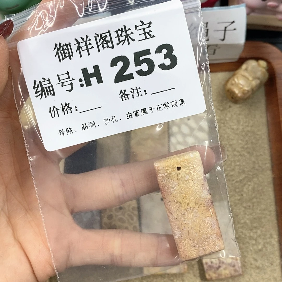 硅化珊瑚（珊瑚玉）H未镶嵌T***a