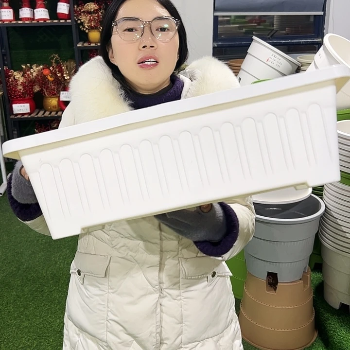 特价大菜盆长56宽25高16果绿色3只