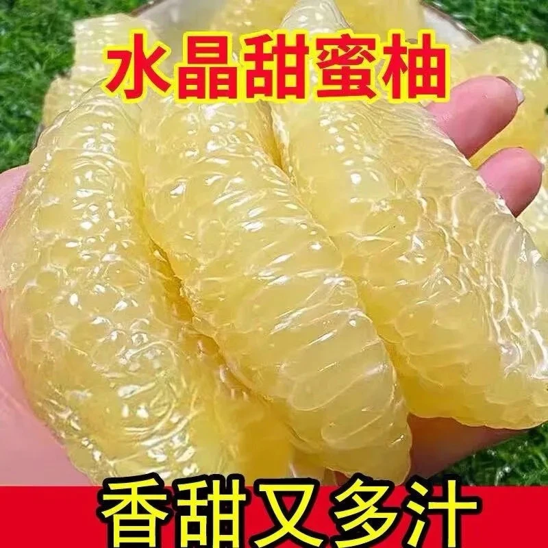 福建琯溪白肉蜜柚正宗平和白心柚子现摘蜜柚新鲜水果包邮5-9斤