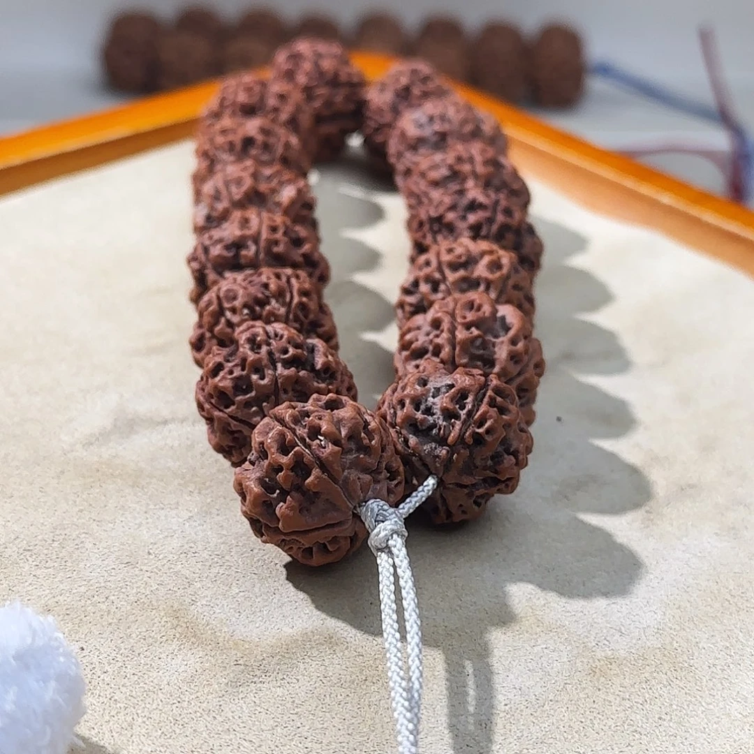 金刚菩提吊坠梁粗筋蜂窝双龙头货漏价