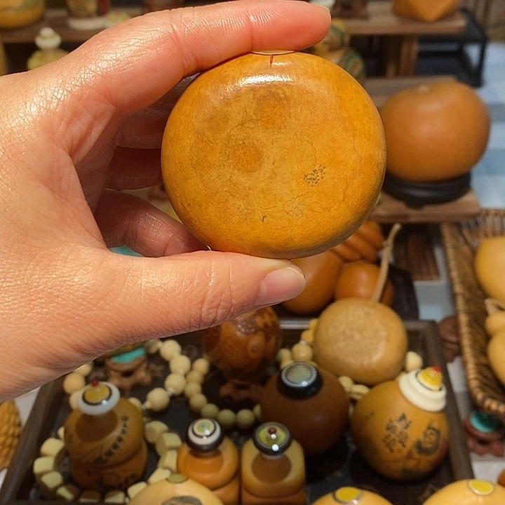 老皮夹扁葫芦葫芦