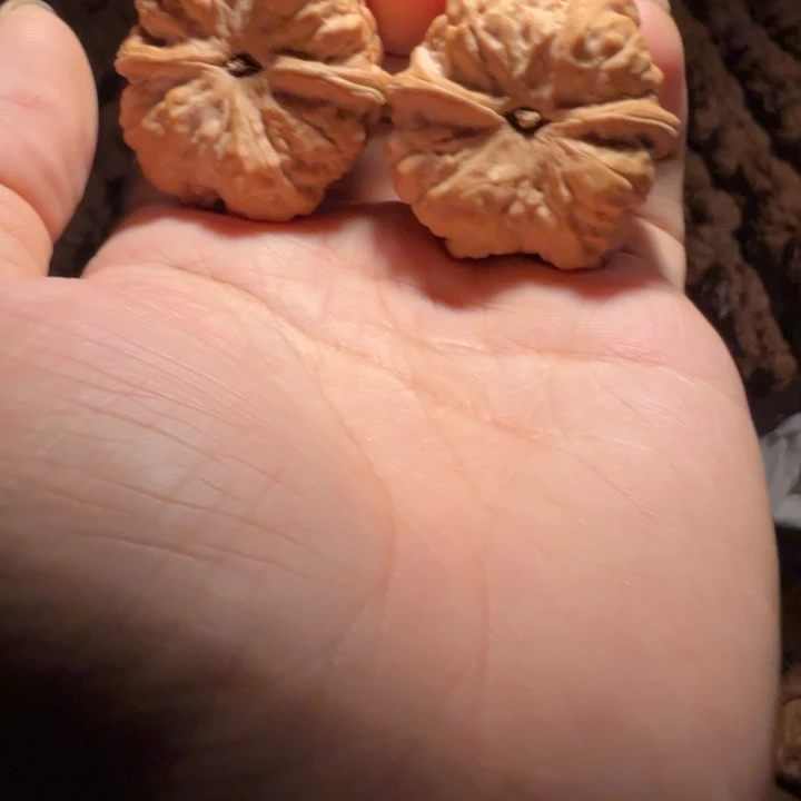 喝***了文玩核桃吊坠蛤蟆的眼睛是真的好看啊