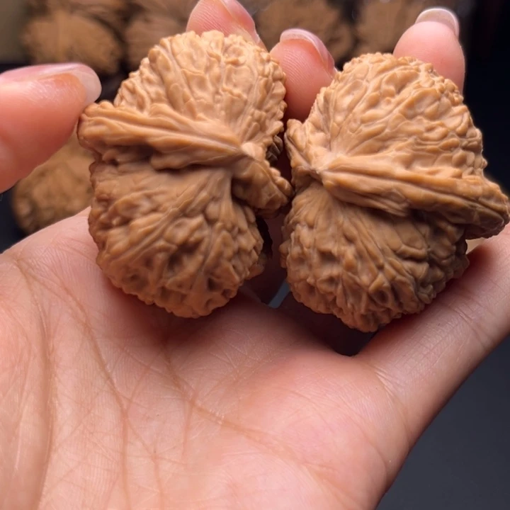 豆*兔白狮子半壁核桃哈哈哈