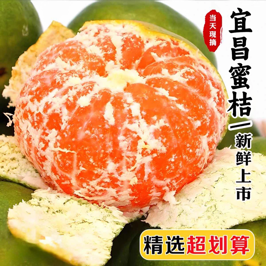 【宜昌直发】正宗宜昌青皮蜜桔早熟柑桔子时令水果当季新鲜酸甜橘子