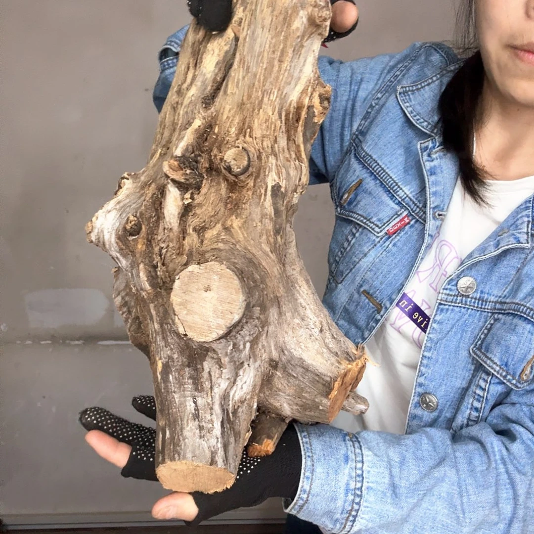 森***鹿木太行崖柏摆件摆件