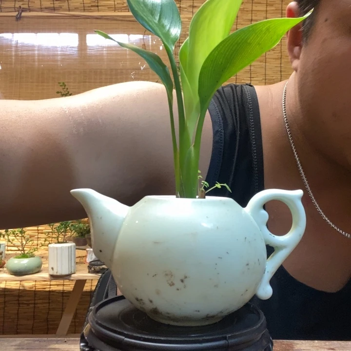 回**统一物一拍所见即所得158