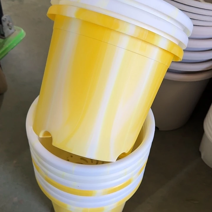 串色4#口径25浅黄色10个无托