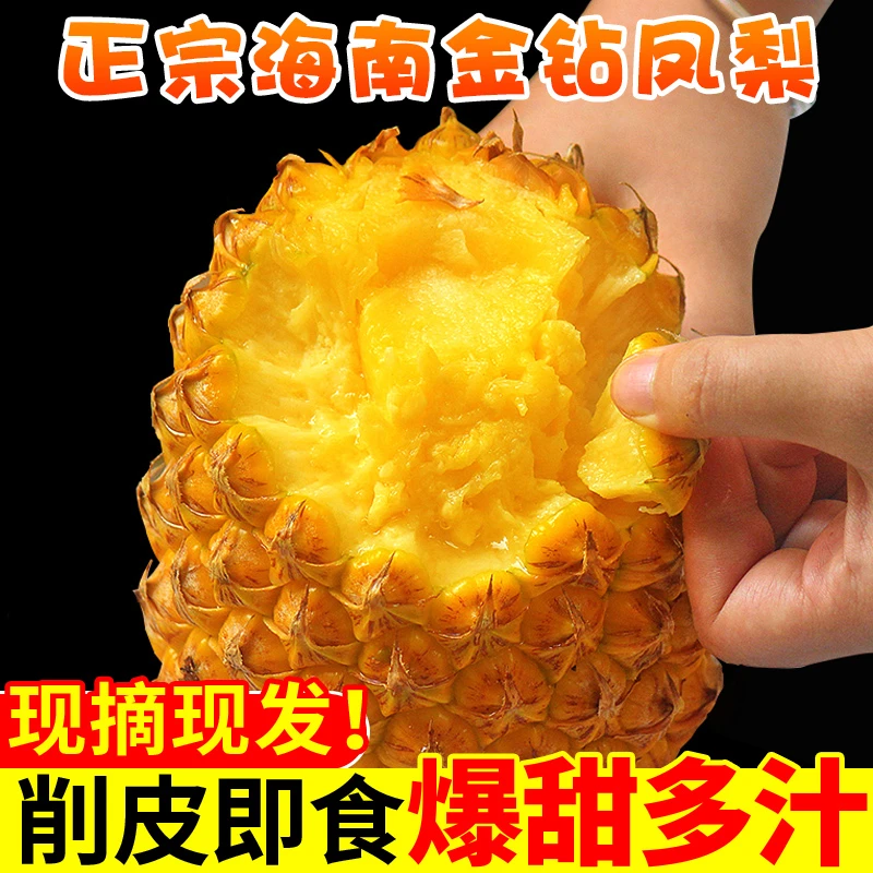 【海南】正宗海南金钻手撕凤梨台农17号海南产地直发