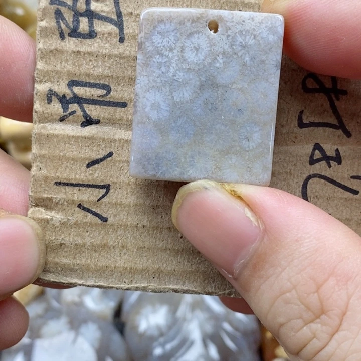 颈饰未镶嵌硅化珊瑚（珊瑚玉）Y**记