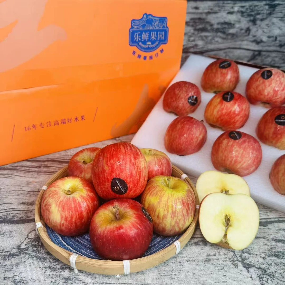 【乐鲜果园】南非富士小苹果10个礼盒装当季新鲜进口脆甜苹果