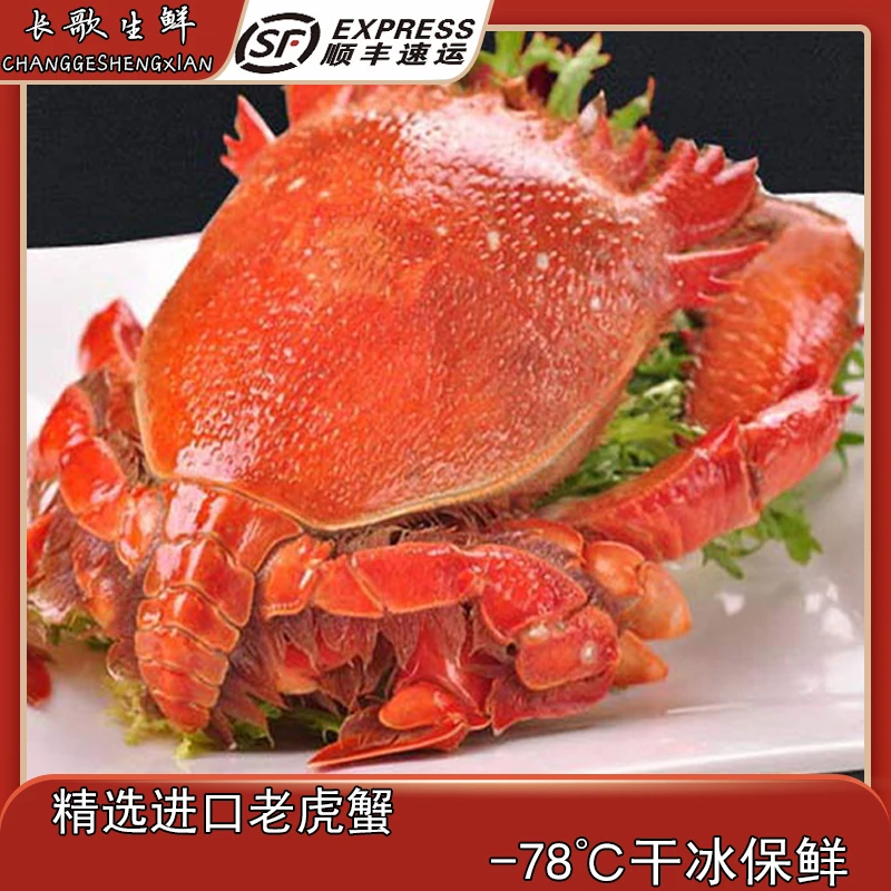泰国进口海捕老虎蟹虎头蟹贵妃蟹旭蟹火锅食材顺丰冷链
