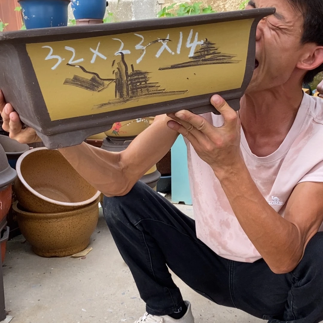 紫砂紫砂紫砂紫砂