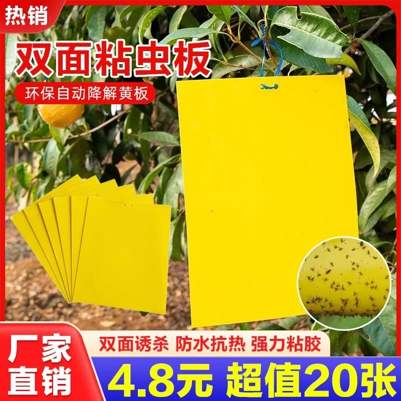 黄色双面粘虫板贴纸强力小飞虫沾果蝇诱捕神器捉蚊子苍蝇ld