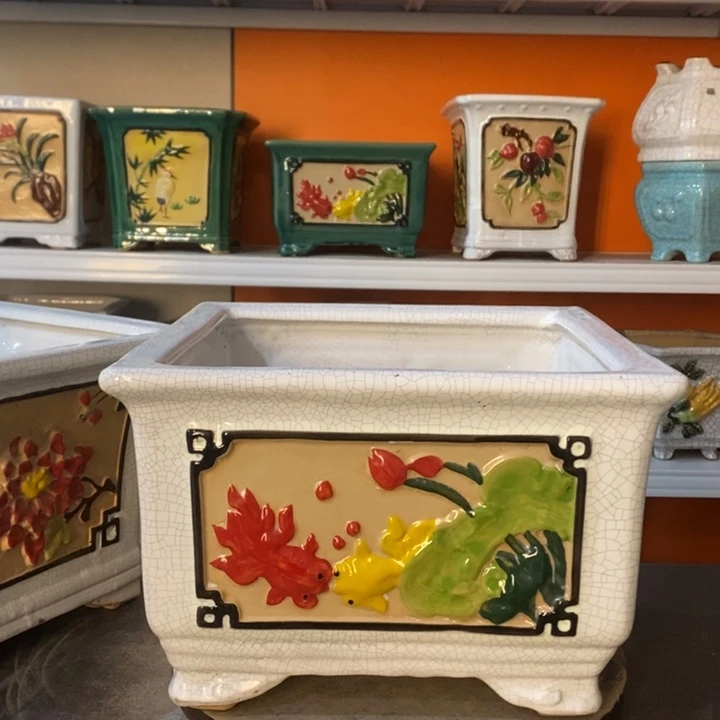 红陶笨*哥花盆里的小猫咪