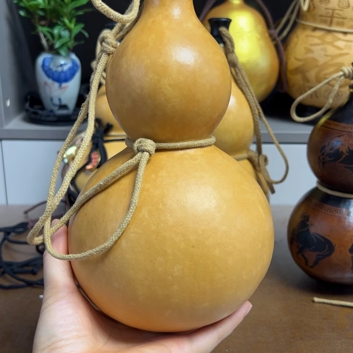 踏*邮政邮政邮政邮政邮政邮政邮政