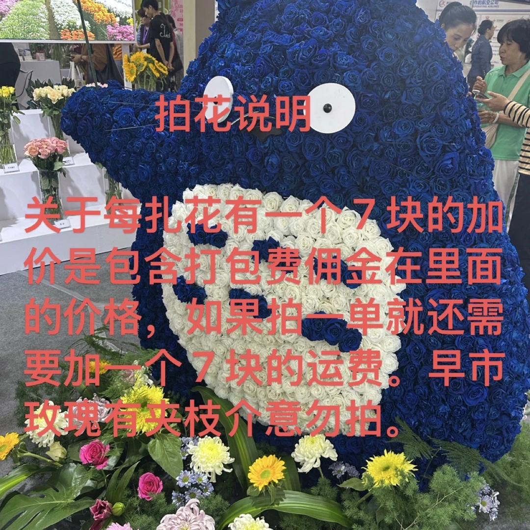 拍花说明早市玫瑰有夹枝介意勿拍