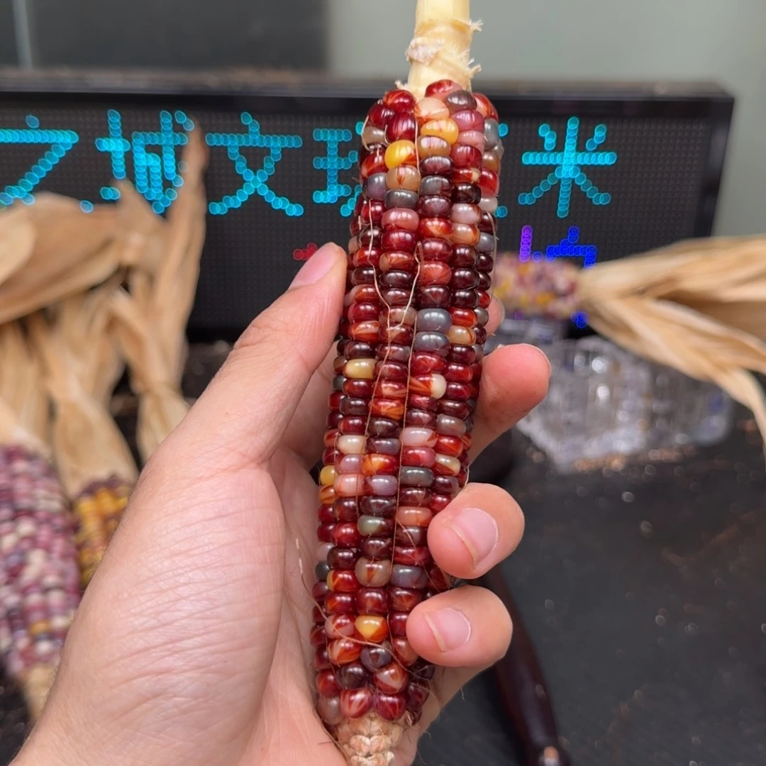 柏香籽/百香籽吊坠?***