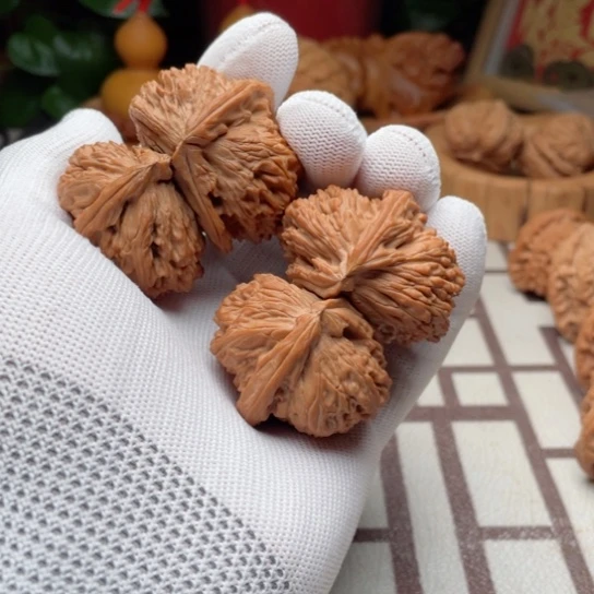 手串/手链核桃白狮子连体