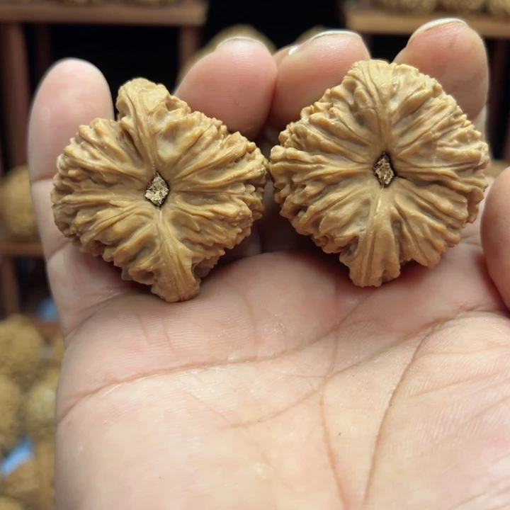 完全开放攀*帅南疆石