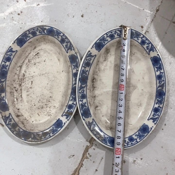 瓷片十厂青花小鱼盘