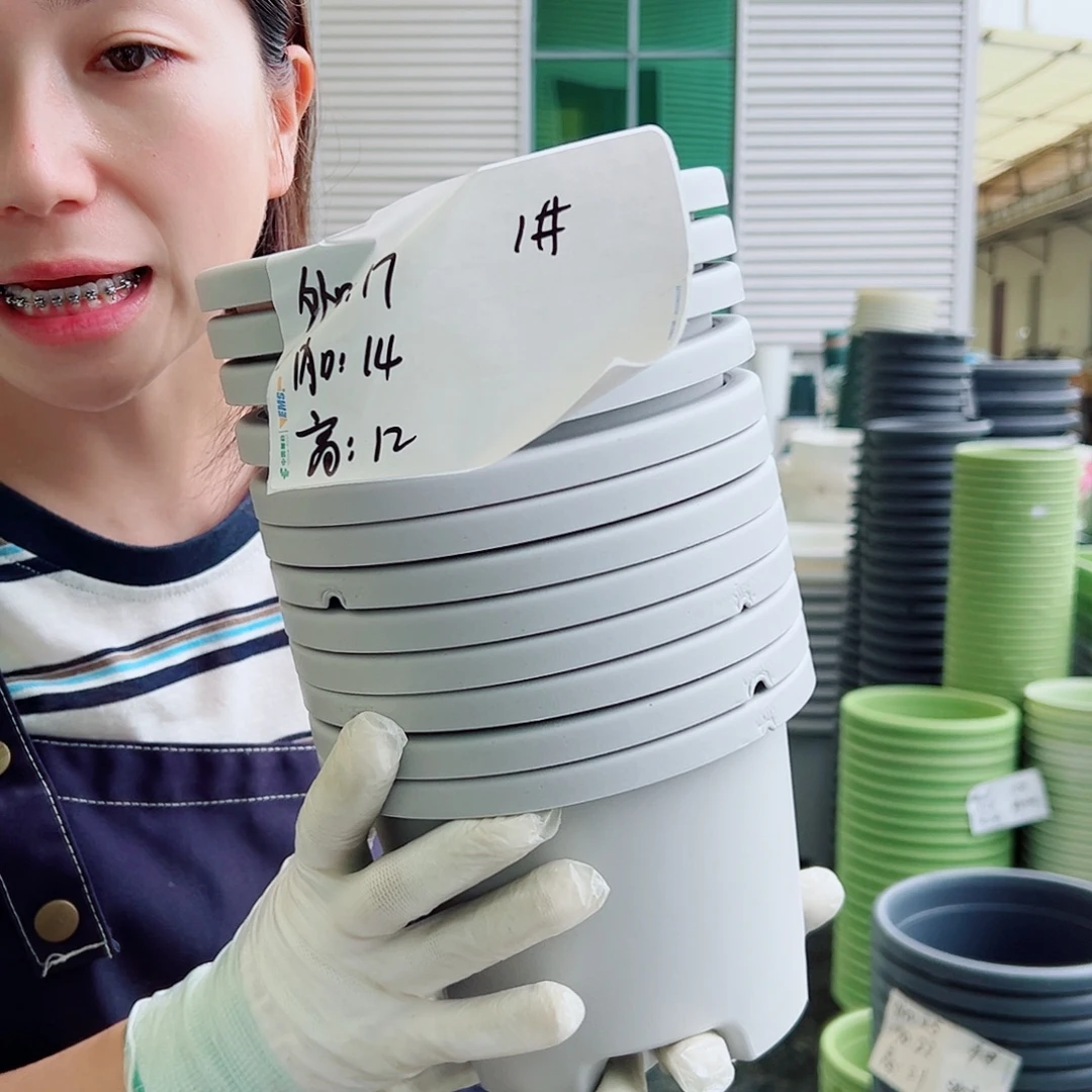 瑕疵球根盆1#灰白10个无托