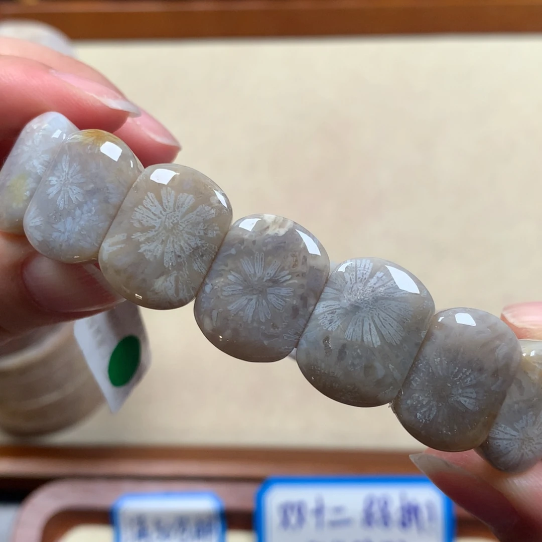 未镶嵌蓝大花手排漏150/个。15硅化珊瑚（珊瑚玉）