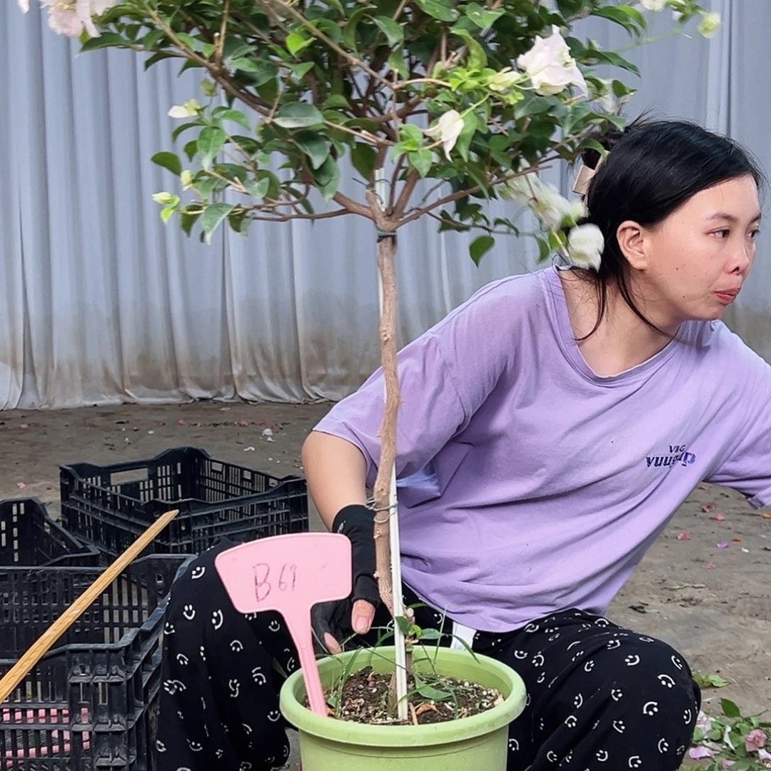 盛***鹏完全开放B69苹果苹果