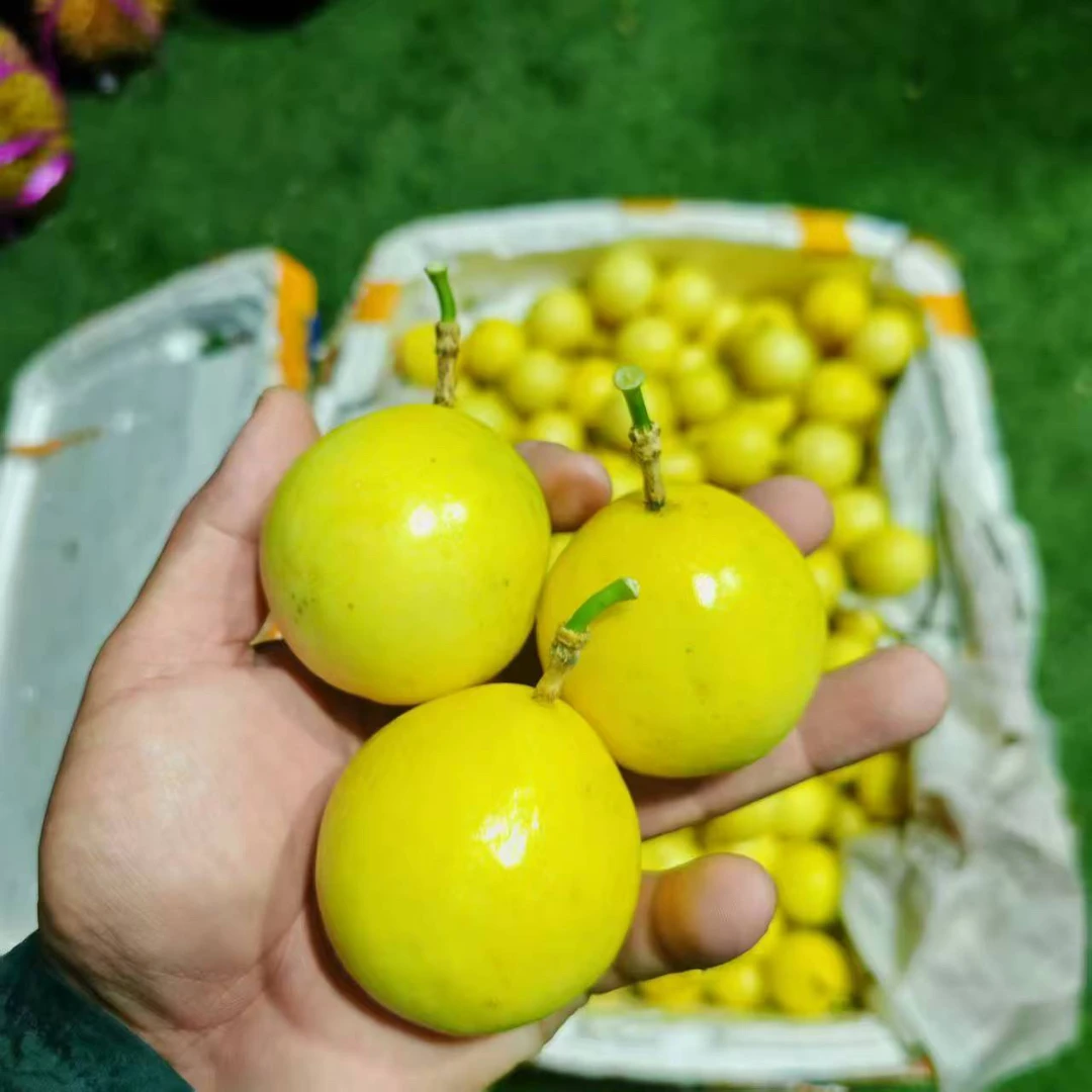 酸甜百香果（8个）