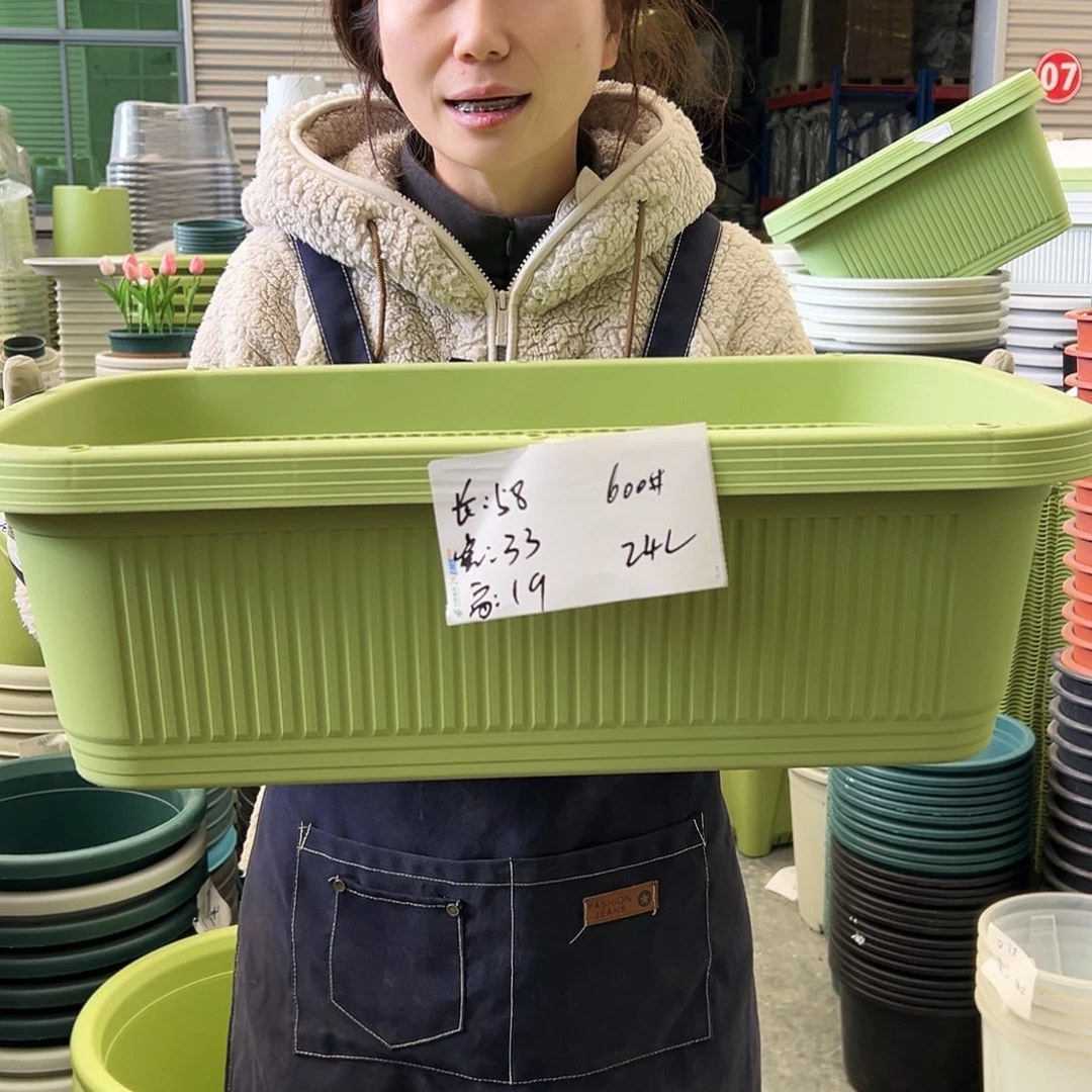 菜盆600#果绿3个无托