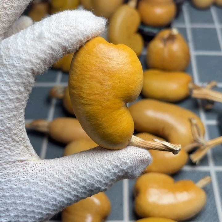 ～****66666666666666666