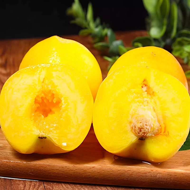 【A蒙阴蜜桃】蒙阴黄金蜜黄桃脆甜多汁应季水果软甜脆整箱新鲜现发