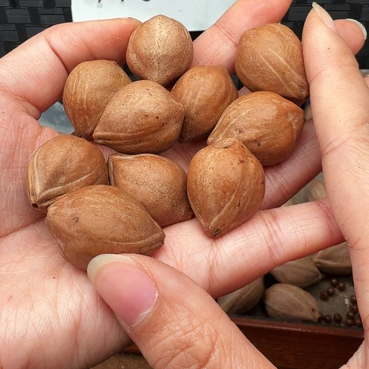 碧***天橄榄核手串/手链橄榄